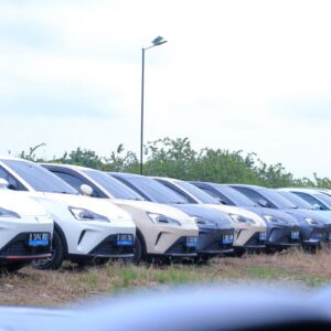 Kenali fitur parkir paralel NETA V-II dan cara mengaktifkannya
